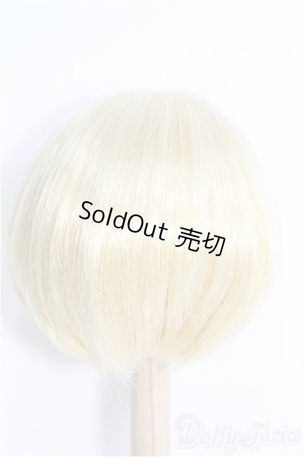 画像2: 8inch/ウィッグ I-25-02-09-3012-TN-ZI (2)