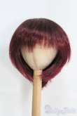 画像1: 9〜10inch/ウィッグ I-25-05-04-2028-TO-ZI (1)