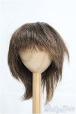 画像1: 9〜10inch/ウィッグ I-25-03-30-2029-TO-ZI (1)
