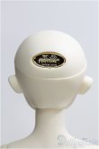 画像5: 【SALE】SD/リーゼロッテ Galerie de l'esprit2021　秋冬ver. I-24-09-01-1001-TO-ZI (5)