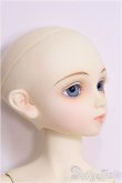画像3: 【SALE】SDGIRL/翔：ワンオフ I-24-09-01-1002-TO-ZI (3)