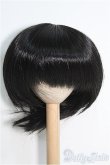 画像1: 9〜10inch/ウィッグ I-25-01-12-3027-TO-ZI (1)