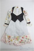 画像1: DD/OF ドレス：etrange様製 I-25-01-12-2099-TO-ZI (1)