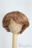 画像1: 6〜7inch/ウィッグ：KEMPER製 I-25-04-06-3011-TO-ZI (1)