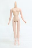 画像1: 【SALE】Blythe/ボディ I-24-04-28-1055-TN-ZI (1)