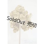 画像: 9〜10inch/ウィッグ Y-25-12-24-143-TO-ZY