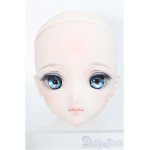 画像: 【SALE】DDH-09カスタムヘッド/m.t*様製 I-24-12-22-1041-TO-ZI