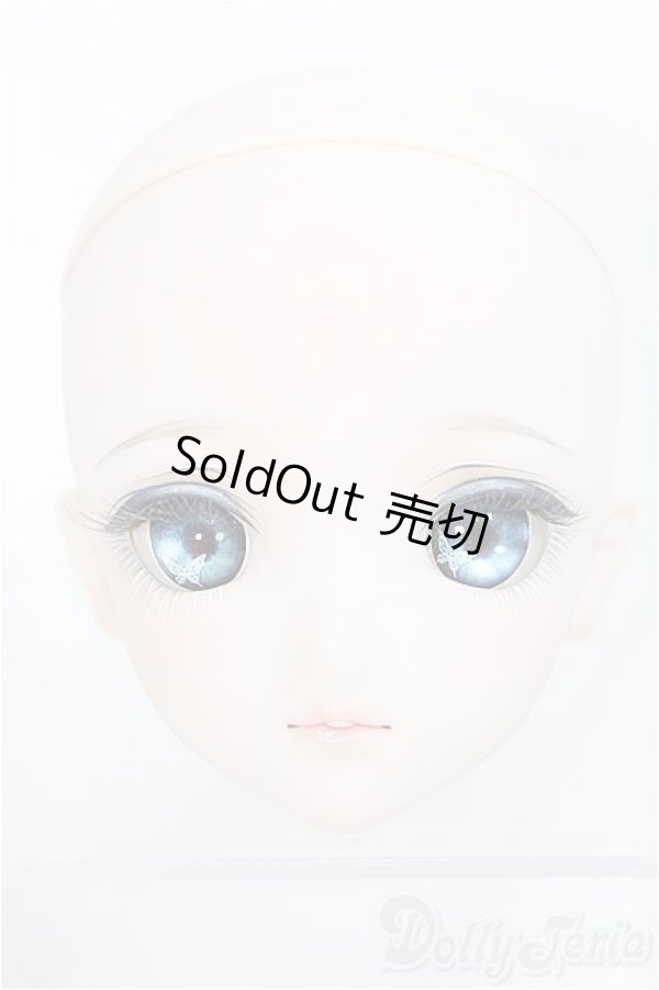 画像1: DDH-09カスタムヘッド/m.t*様製 I-25-06-08-1090-TO-ZI (1)