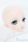 画像2: 【SALE】DDH-09カスタムヘッド/m.t*様製 I-24-12-22-1041-TO-ZI (2)