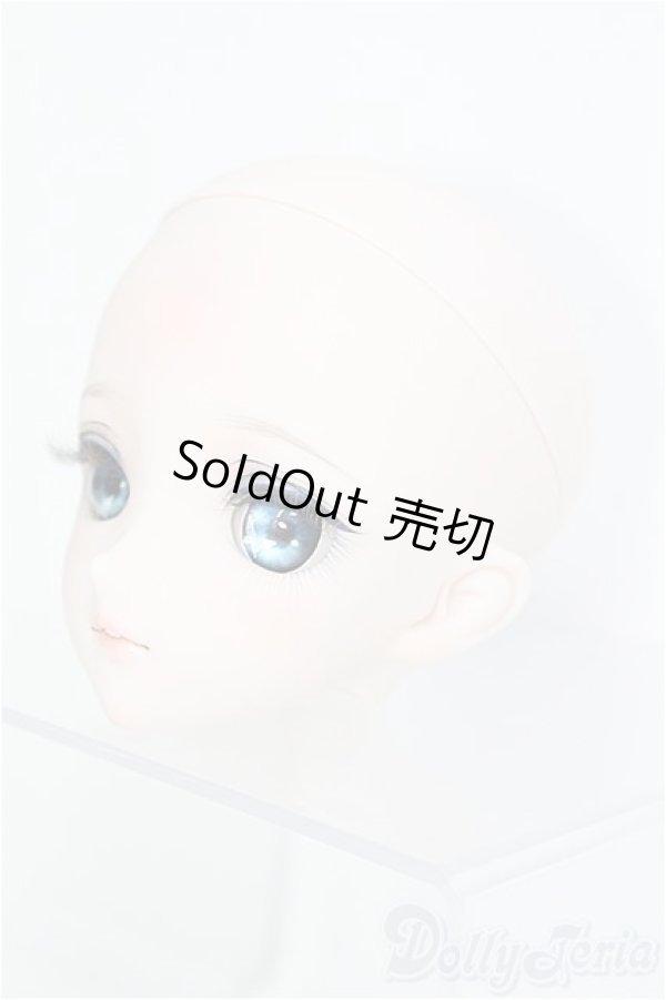 画像3: DDH-09カスタムヘッド/m.t*様製 I-25-06-08-1090-TO-ZI (3)