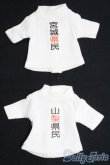 画像1: 幼SD/OF 県民Ｔシャツ2点セット I-25-06-01-3076-TO-ZI (1)