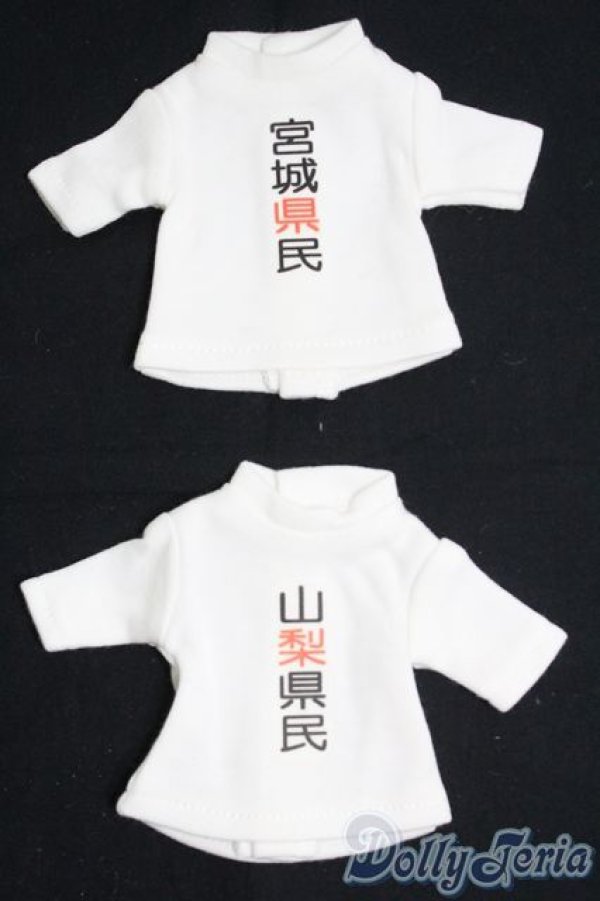 画像1: 幼SD/OF 県民Ｔシャツ2点セット I-25-06-01-3076-TO-ZI (1)
