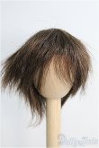 画像1: 【SALE】ウィッグ/6-7inch I-24-11-17-2031-TO-ZI (1)