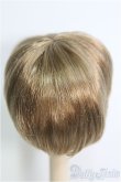 画像2: 7〜8inch/ウィッグ：F STYLER製 I-25-02-02-2023-TO-ZI (2)