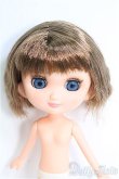 画像1: 【SALE】ポテトのおでこちゃん I-24-09-22-1062-TO-ZI (1)