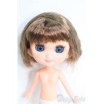 画像: 【SALE】ポテトのおでこちゃん I-24-09-22-1062-TO-ZI