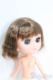 画像3: 【SALE】ポテトのおでこちゃん I-24-09-22-1062-TO-ZI (3)