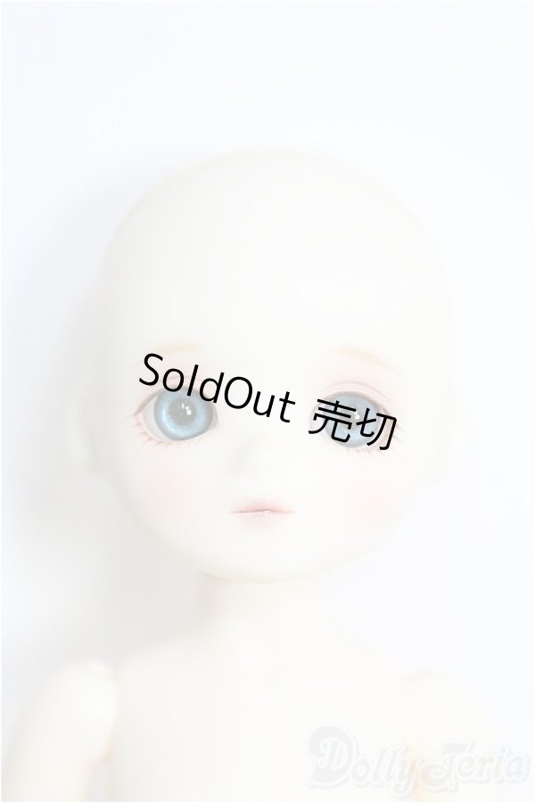 画像1: 【SALE】BLUE FAIRY/Sage Choco I-24-10-13-1009-TO-ZI (1)