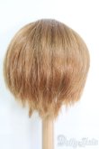 画像3: 9〜10inch/ウィッグ I-25-05-18-2043-TO-ZI (3)