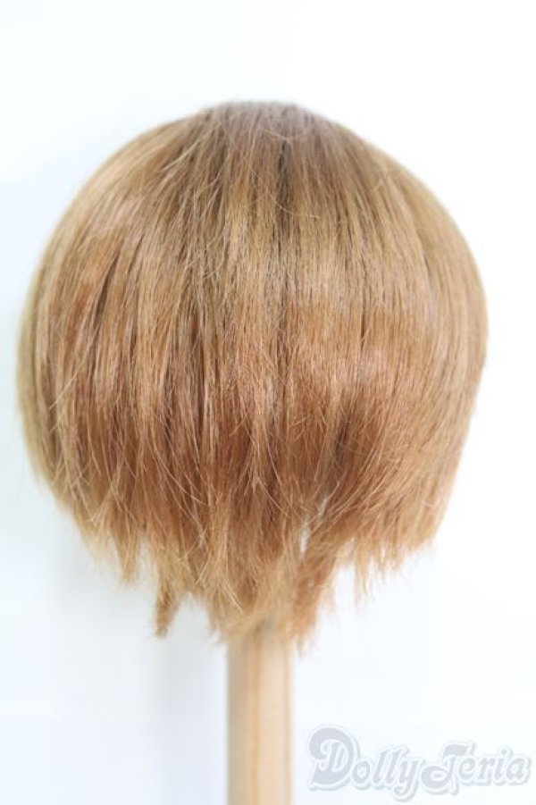 画像3: 9〜10inch/ウィッグ I-25-05-18-2043-TO-ZI (3)