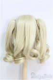 画像2: 【SALE】6〜7inch/ウィッグ I-24-12-01-2034-TN-ZI (2)