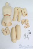 画像1: MSD/男の子ボディ/BJD　球体関節人形 I-25-08-10-019-TN-ZI (1)