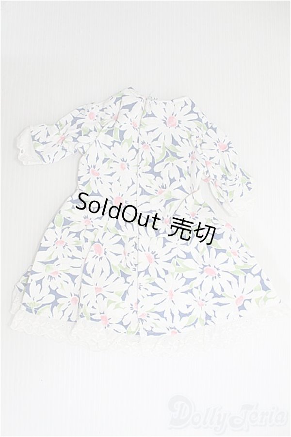 画像2: SD/半袖ドレスセット/ I-25-10-05-319-TN-ZI (2)