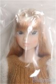 画像1: 【SALE】momoko/CCS　Ｔoday’s　14ＨＢ I-24-09-15-1040-TN-ZI (1)