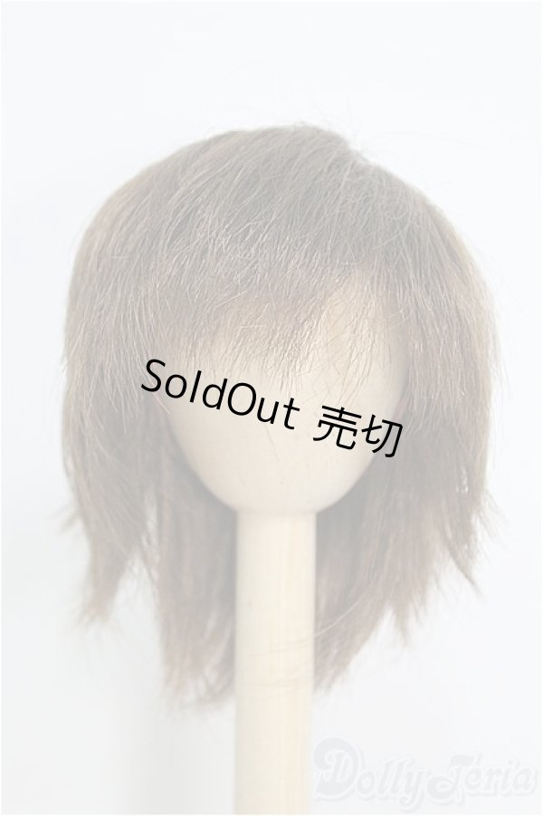 画像1: 8inch/ウィッグ I-25-01-12-3012-TN-ZI (1)