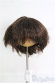 画像1: 6〜7ｉｎｃｈ/ウィッグ I-25-02-09-2012-TN-ZI (1)