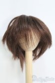 画像1: 7〜8inch/ウィッグ I-25-04-20-3014-TN-ZI (1)