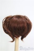 画像2: 6〜7inch/ウィッグ I-25-01-26-3028-TN-ZI (2)