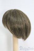 画像2: 6〜7inch/ウィッグ I-25-04-20-3013-TO-ZI (2)
