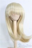 画像1: 【SALE】新品ウィッグ/48-DD-88 I-25-01-12-2046-TO-ZI (1)