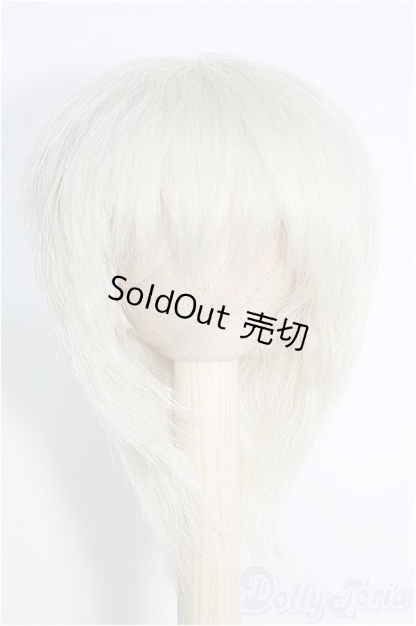 画像1: 7〜8inch/ウィッグ I-25-02-09-3015-TO-ZI (1)