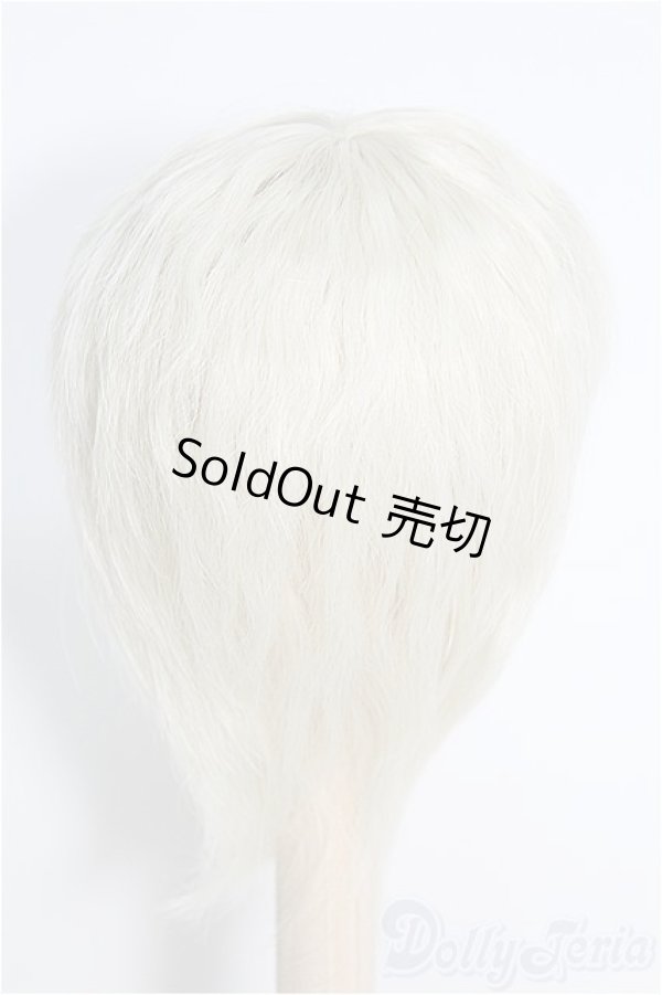 画像2: 7〜8inch/ウィッグ I-25-02-09-3015-TO-ZI (2)