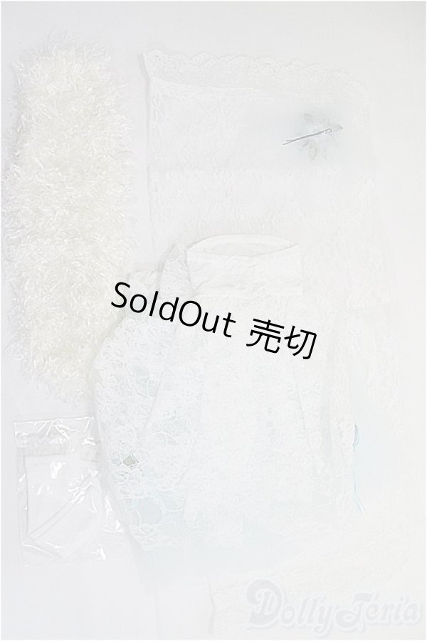 画像2: MSD/衣装セット：総レースドレス/ I-25-11-23-399-TN-ZI (2)
