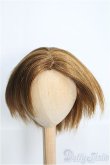 画像1: 9〜10inch/ウィッグ I-25-02-23-2026-TN-ZI (1)