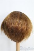 画像2: 9〜10inch/ウィッグ I-25-02-23-2026-TN-ZI (2)