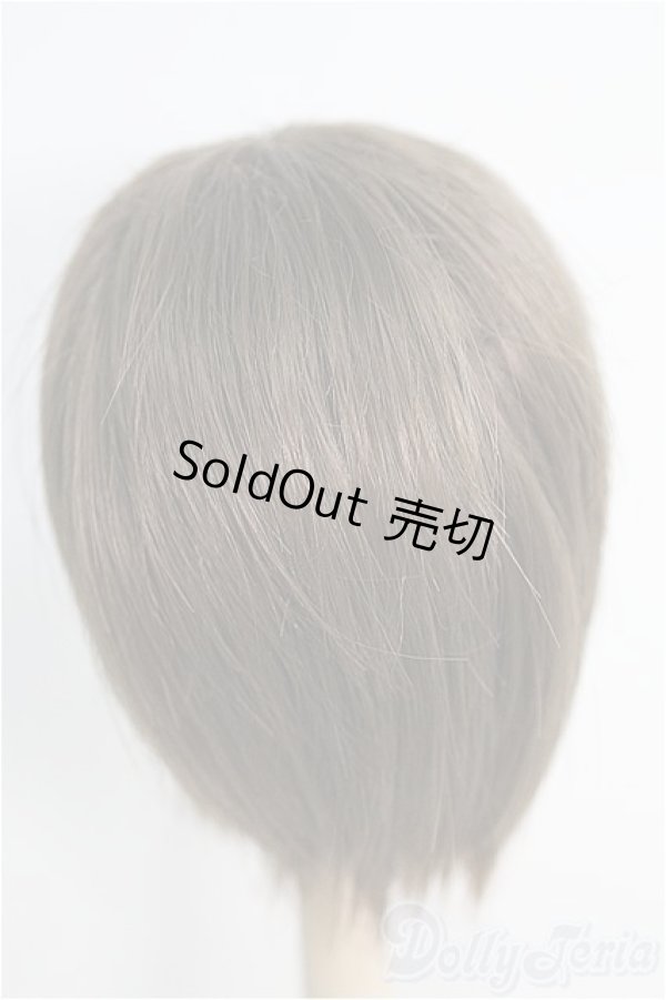 画像2: 【SALE】8〜9inch/ウィッグ I-25-02-02-2037-TO-ZI (2)