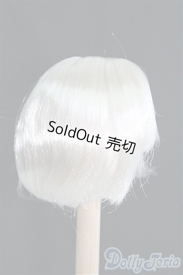 画像3: 【SALE】8〜9inch/ウィッグ I-24-11-10-3035-TO-ZI (3)