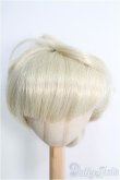 画像1: 9〜10inch/ウィッグ I-25-02-09-2022-TN-ZI (1)