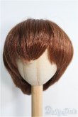 画像1: 【SALE】9〜10inch/ウィッグ I-24-11-17-3038-TN-ZI (1)