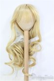 画像1: 9〜10inch/ウィッグ I-25-01-19-2029-TO-ZI (1)