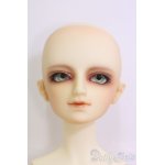画像: SDBOY/フルチョイス F-28ヘッド I-25-05-04-1001-TN-ZI
