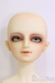 画像: SDBOY/フルチョイス F-28ヘッド I-25-05-04-1001-TN-ZI