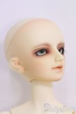 画像2: SDBOY/フルチョイス F-28ヘッド I-25-05-04-1001-TN-ZI (2)