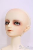 画像3: SDBOY/フルチョイス F-28ヘッド I-25-05-04-1001-TN-ZI (3)