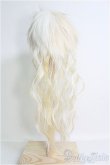 画像2: 【SALE】羊毛ウィッグ/7〜8inch I-24-11-17-2040-TN-ZI (2)
