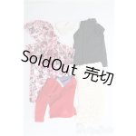 画像: 1/6(22cm)ドール/OF 衣装バラセット I-25-02-09-3109-TO-ZI
